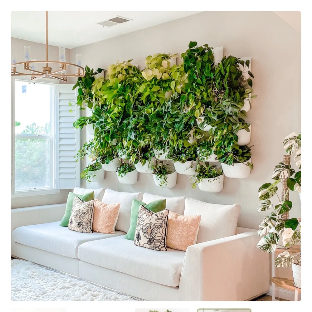 WALLYgrow